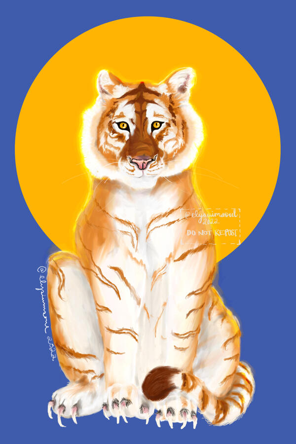 Golden Tiger